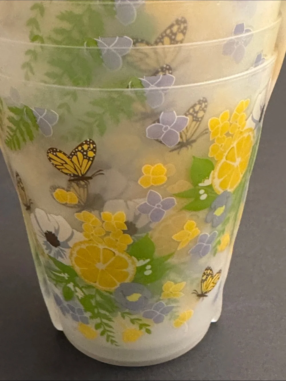 12pc SHABBY CHIC Citrus/Butterfly Floral Reusable Plastic Cups - 16oz